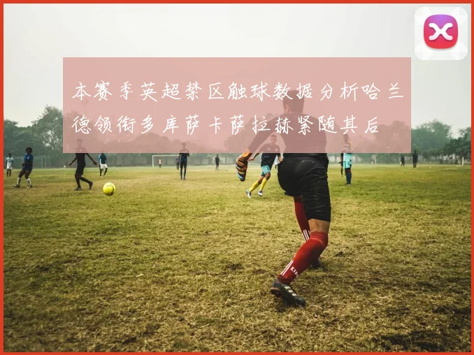 本赛季英超禁区触球数据分析哈兰德领衔多库萨卡萨拉赫紧随其后