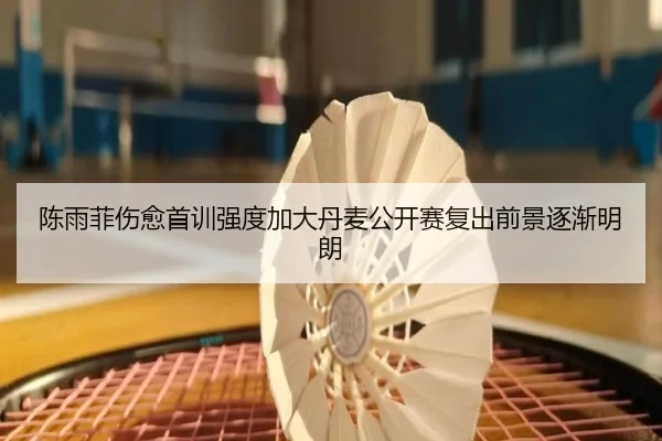 陈雨菲伤愈首训强度加大丹麦公开赛复出前景逐渐明朗